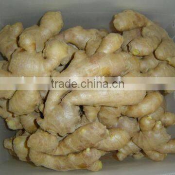 Fresh Air Dried Ginger photo-4