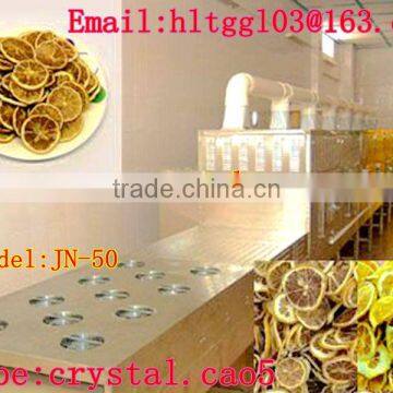 Tunnel Type Fresh Lemon Slice Processing Microwave Drying Equipment