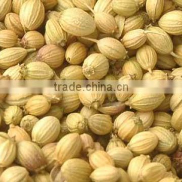 Coriander Seeds