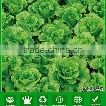 LT07 Duoke high yield green lettuce seeds, quality leaf vegetable seeds