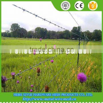 Xiyue High Quality Barbed Wire for Fence used in Garden