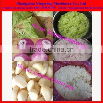 Vegetable Garlic/ Ginger/ Pepper/ Onion Mash Making Machine photo-4