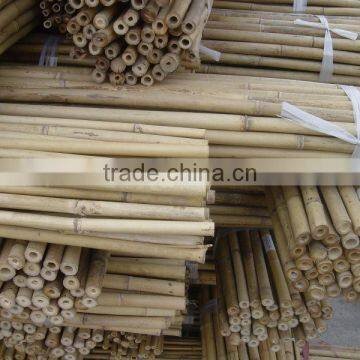 bamboo sticks stake for plant flower nursery support