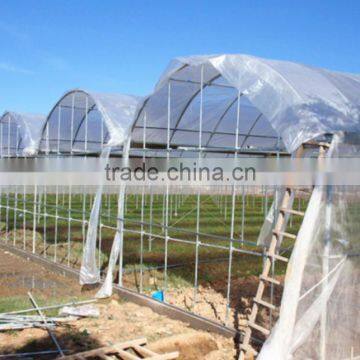 Cheap Greenhouse Kenya Market photo-4