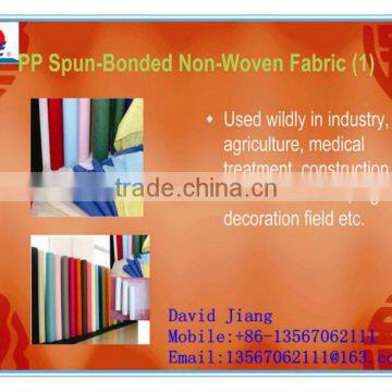 100%pp Non-woven Fabric for Shopping Bags photo-2