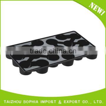 12 Cells Trays Set With Cover and Pallet,12 Cells Plug Seed Tray photo-2