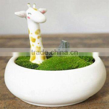 Home design bowl shape narcissus plastic flower pots