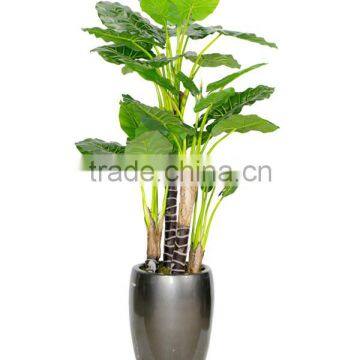 CHY030933 Indoor Artificial Bonsai Plant /plastic Fake Plant/ Artificial Alocasia Plant photo-2