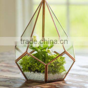 Home Decorate Green with Teardrop Glass Terrarium