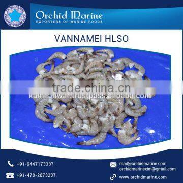 Clean and Fresh Vannamei HLSO at Low Cost