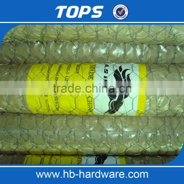 China hexagonal retaining wall/fly wire netting