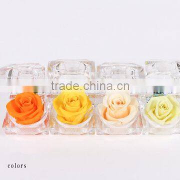 Hot Sale Natural Preserved Fresh Rose Flowers Multicolored Preserved Flower For Wedding Christmas Gift photo-3