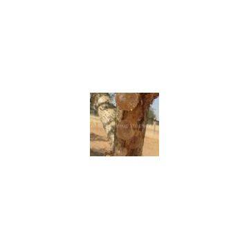 Gum arabic