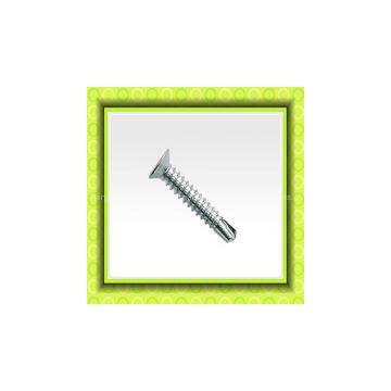 Hexagonal Head Pan Philips Head Washer Self Drilling Screw photo-3