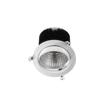 15W Sunflower COB LED Downlight