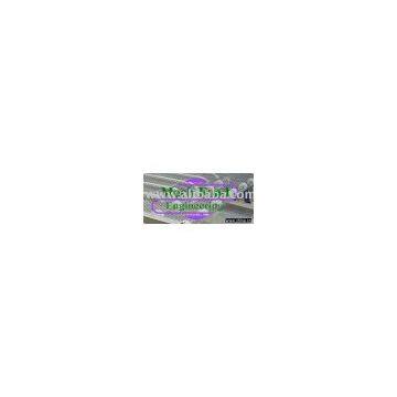 Wire Mesh Belt Conveyor
