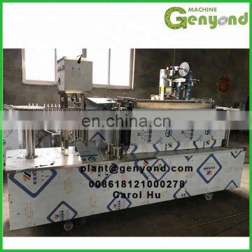 GYC Automatic Ice Pop Popsicle Filling Sealing Machine for Sale photo-5