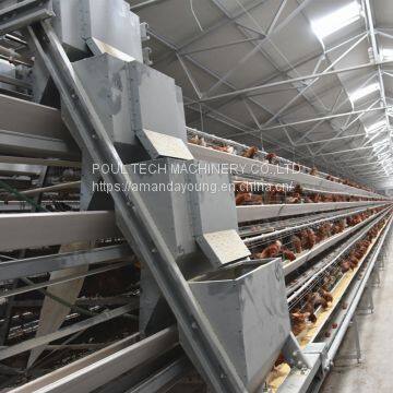 Selling poultry layer chicken cage for poultry farm