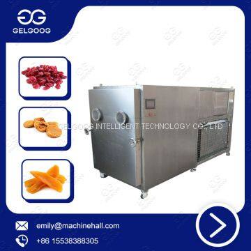 Industrial Berries Dehydrator Machine / Fruit Drying Machine Price