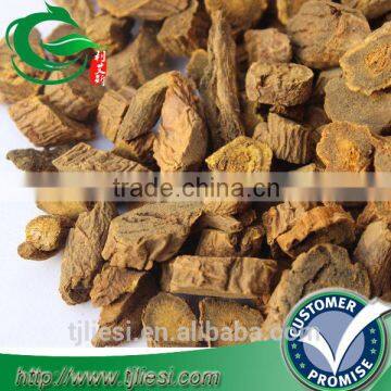 supply rhubarb root not extract