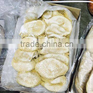 Frozen Halal Buffalo Tripe photo-3