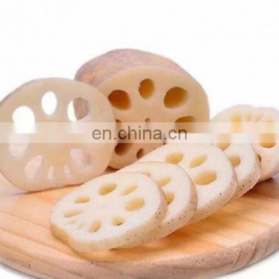 Frozen Sliced Lotus Roots from Vietnam