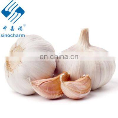 New Crop 2020 Delicious Fresh Garlic White Peeled Super Garlic photo-2