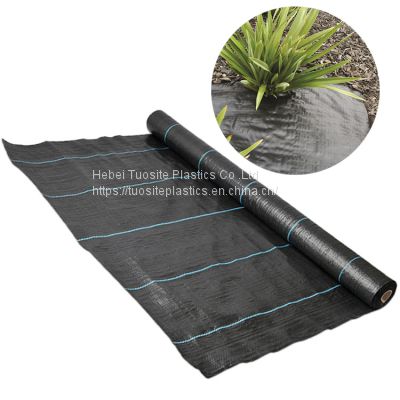 100gsm Plastic Barrier Weed Mat For Agriculture Farming Woven Ground Cover Weed Control Barriers