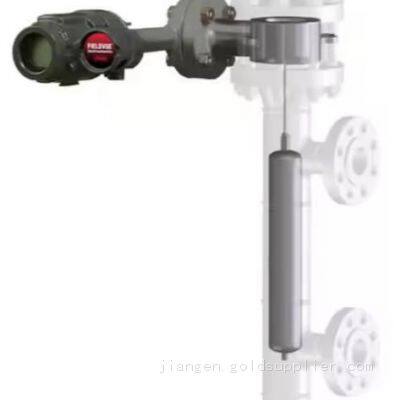 Customized Displacer Level Transmitter Useing Fisher DLC3010 Digital Level Controller As Torque Tube