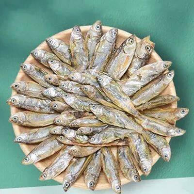 YiHealth Reptile Turtle Tortoise Hamster Food Feed Dried Fish Shrimp Mealworm Bread Worm Aquarium