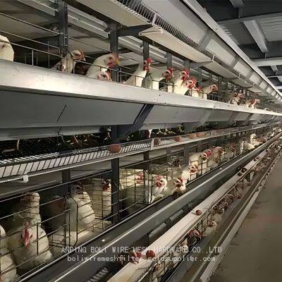 30000 Lagen modernes Geflügelhausdesign, H-Typ Legehennen-Käfighaltungssystem mit Beleuchtung BOLI photo-5