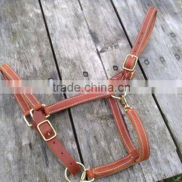 Horse size light brown leather halter w/ brass plated hardware US made/ veterinary instruments and equipment