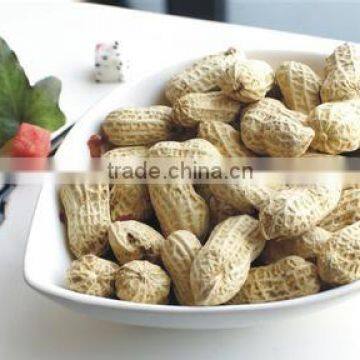 Chinese roasted peanut inshell