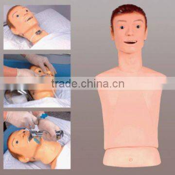 nasal-stomach tube and trachea-nursing model