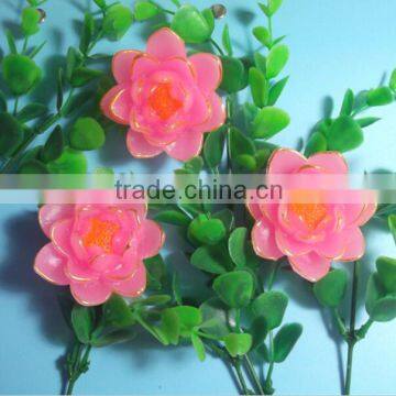 Birthday Candles Flaming Flower