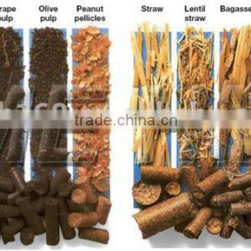 Biomass Sawdust Wood Alfalfa Pellet Mill photo-3