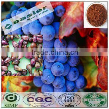 GMP 95% proanthocyanidine grape seed extract (high orac value)