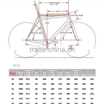 Big Brand Within Logo Painting and Decal Customization T1000 Toray Meyerglobal Carbon Fiber Road Bike Frame