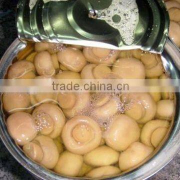 canned mushrooms in good quality with factory price