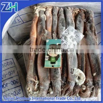 frozen illex argentina squid, argentina origin squid