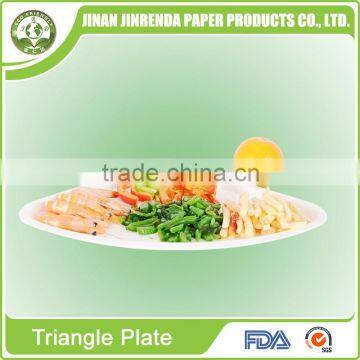Disposable sugarcane pulp Plate