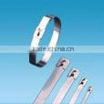 Supply 12*650 Stainless Steel Cable Tie /ladder type stainless steel ties/universal clamping band