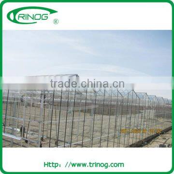 High Light Transmission Glass Greenhouse for Agriculture