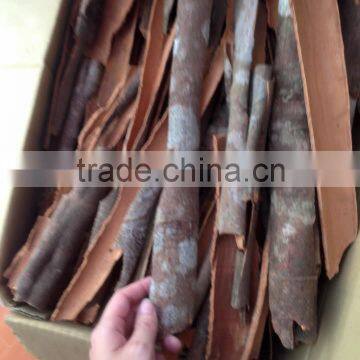 CINNAMON/CASSIA SPLIT GOOD QUALITY AND PRICE FROM VIETNAM