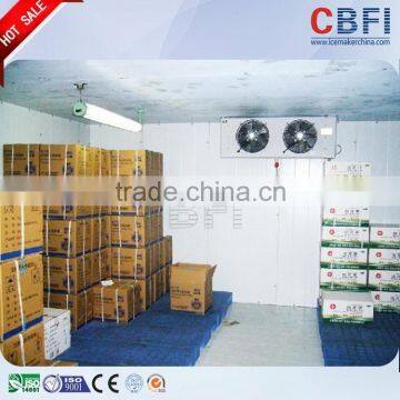 Meat and Fish Storage Cold Room for Sale photo-5