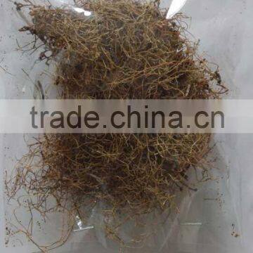 Home decorative dry grass