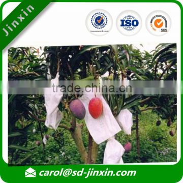 Cheap Orange Bag/Fruit Growing Protection Bags / Nonwoven Packing Bag/Fruit Cover Bag