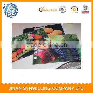 Double Layer High Quality 100% Polyester Digital Print Design Place Mat photo-1