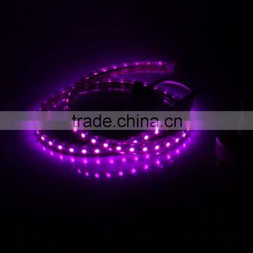 Silicon full seal CE RoHS certificates approval SMD5050 indoor decoration led strip light