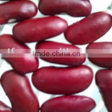 Organic Red Kidney Bean( 2011 crop, heilongjiang origin, hps)